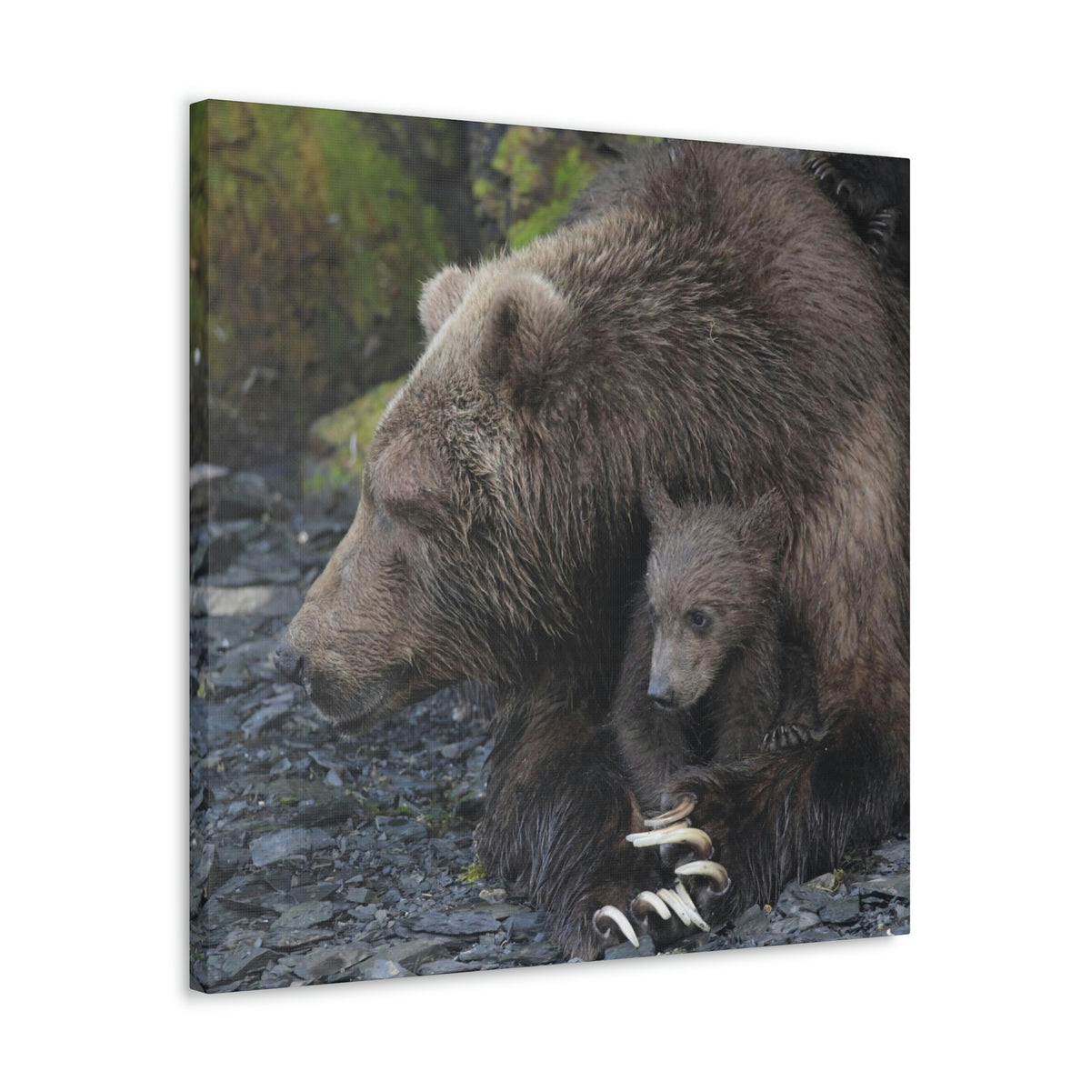 Embracing Sow Classic Canvas