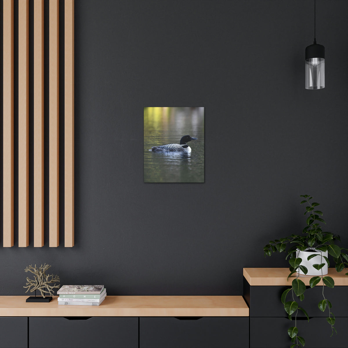 Common Loon Canvas Gallery Wraps