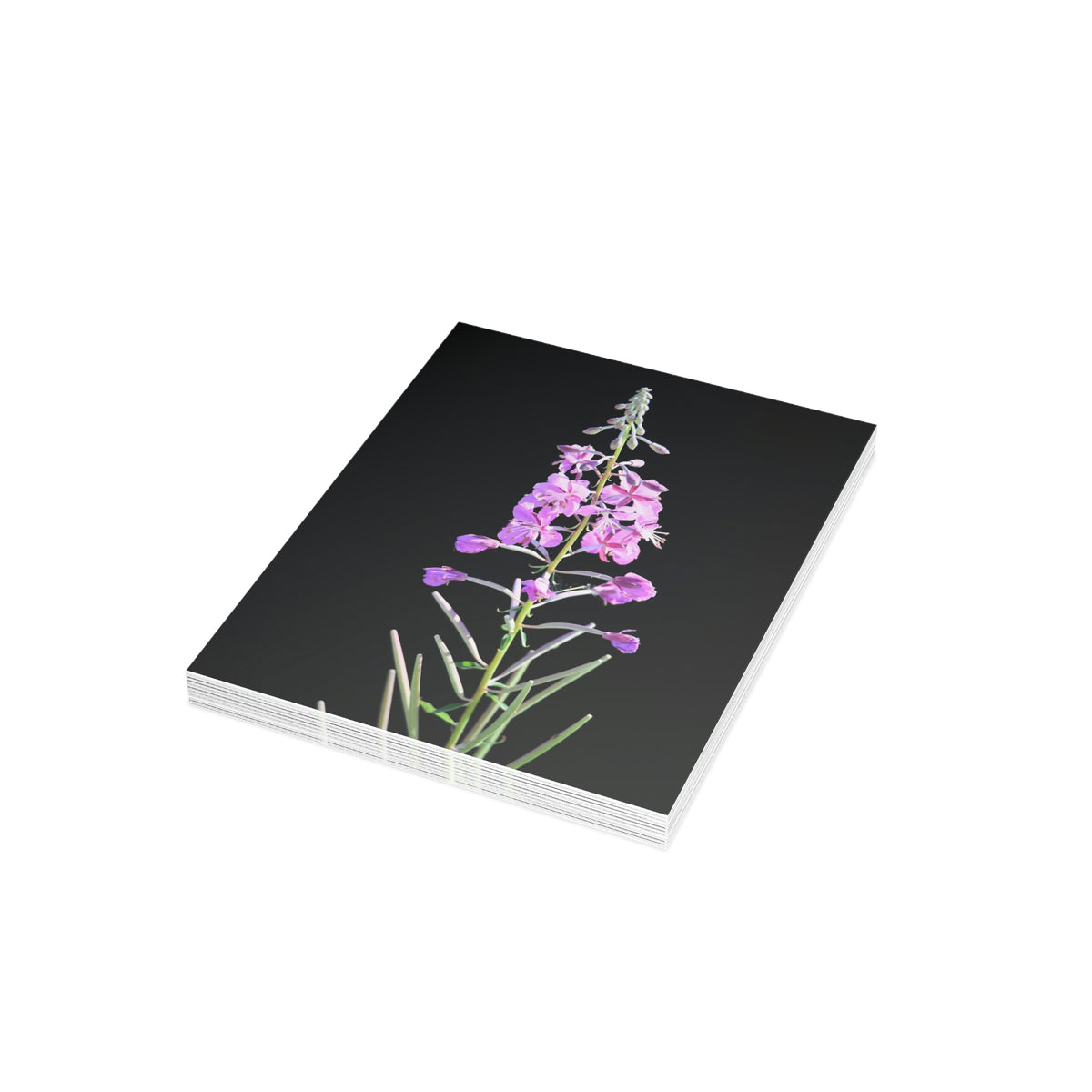 Fireweed Greeting Cards (1, 10, 30, and 50pcs)