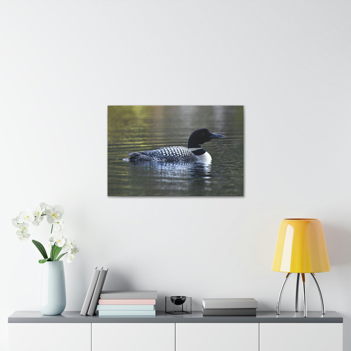 Common Loon Canvas Gallery Wraps