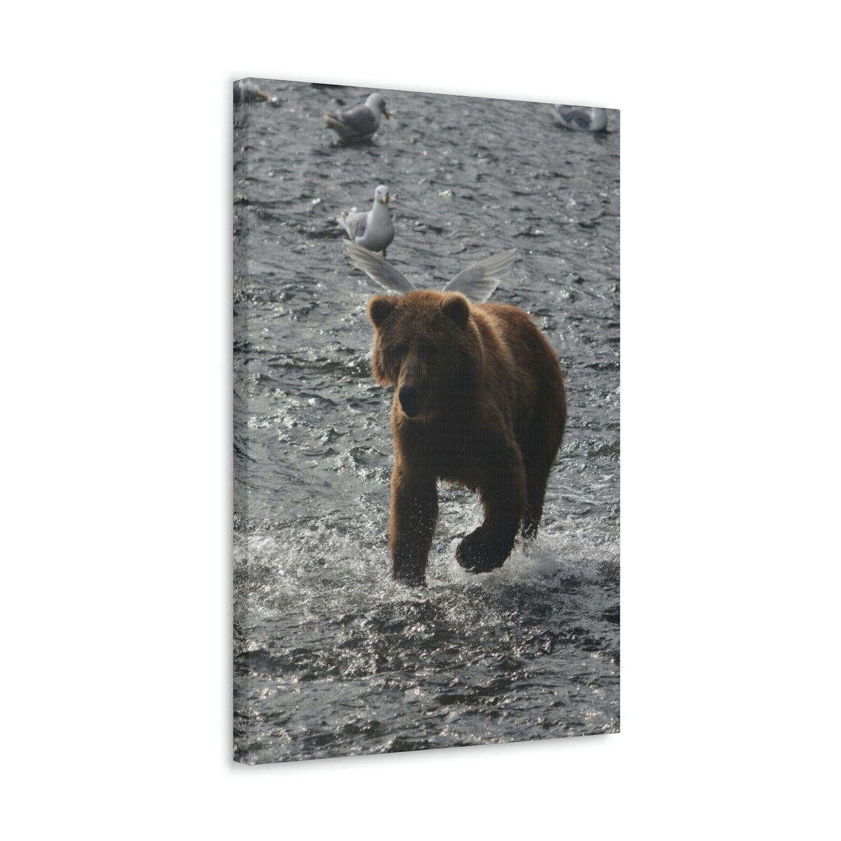 Angel Bear Classic Canvas