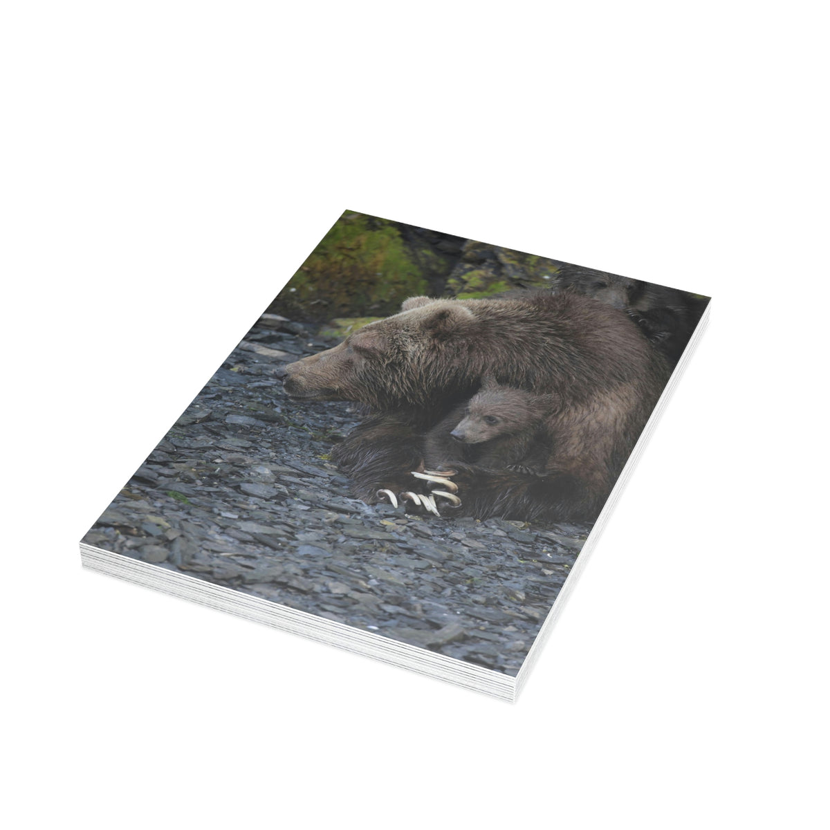 Embracing Sow Greeting Cards (1, 10, 30, and 50pcs)