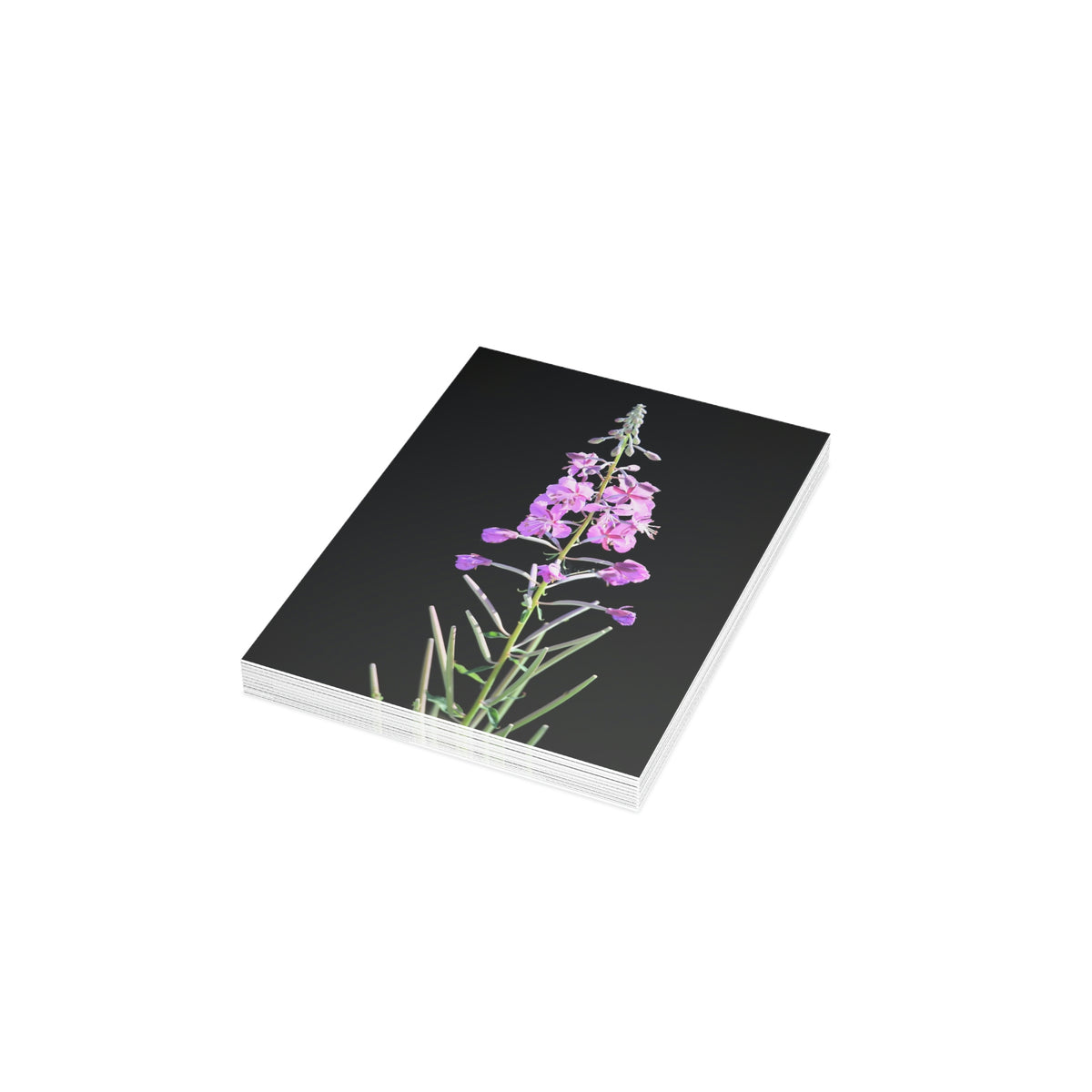 Fireweed Greeting Cards (1, 10, 30, and 50pcs)