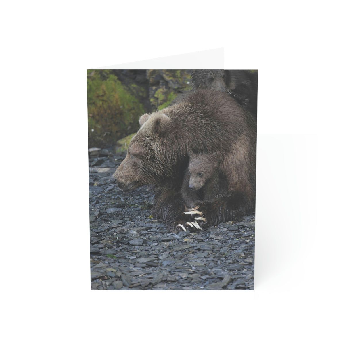 Embracing Sow Greeting Cards (1, 10, 30, and 50pcs)