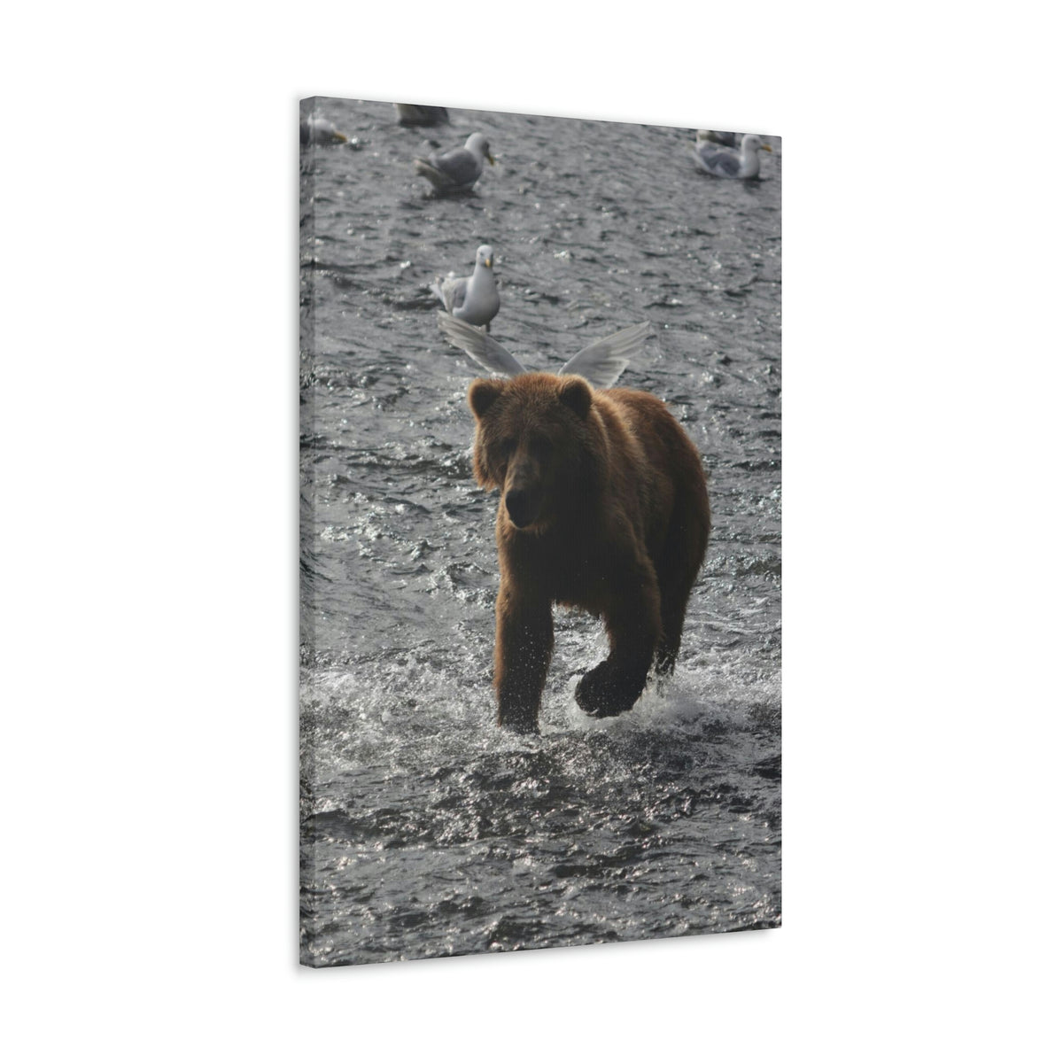 Angel Bear Classic Canvas