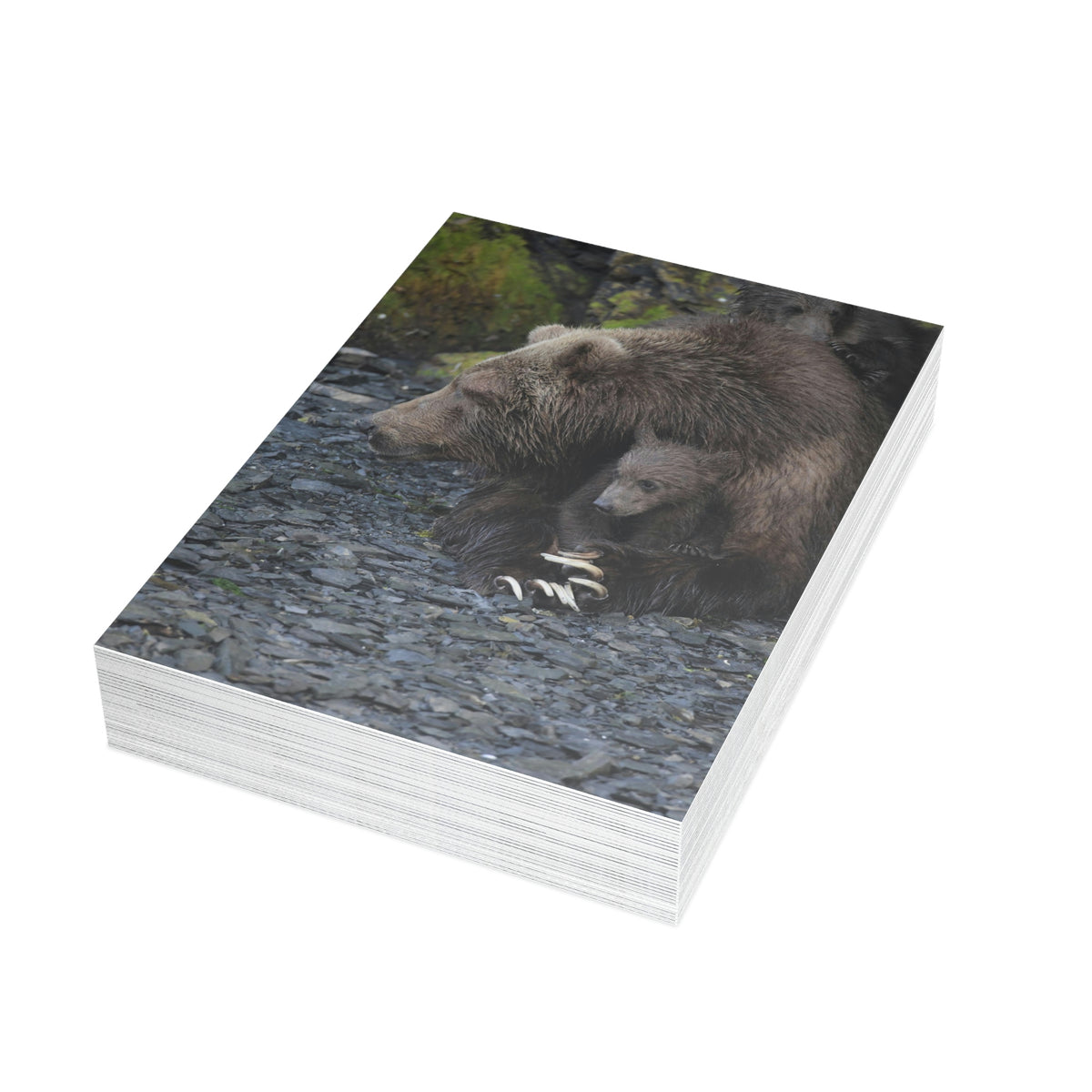 Embracing Sow Greeting Cards (1, 10, 30, and 50pcs)