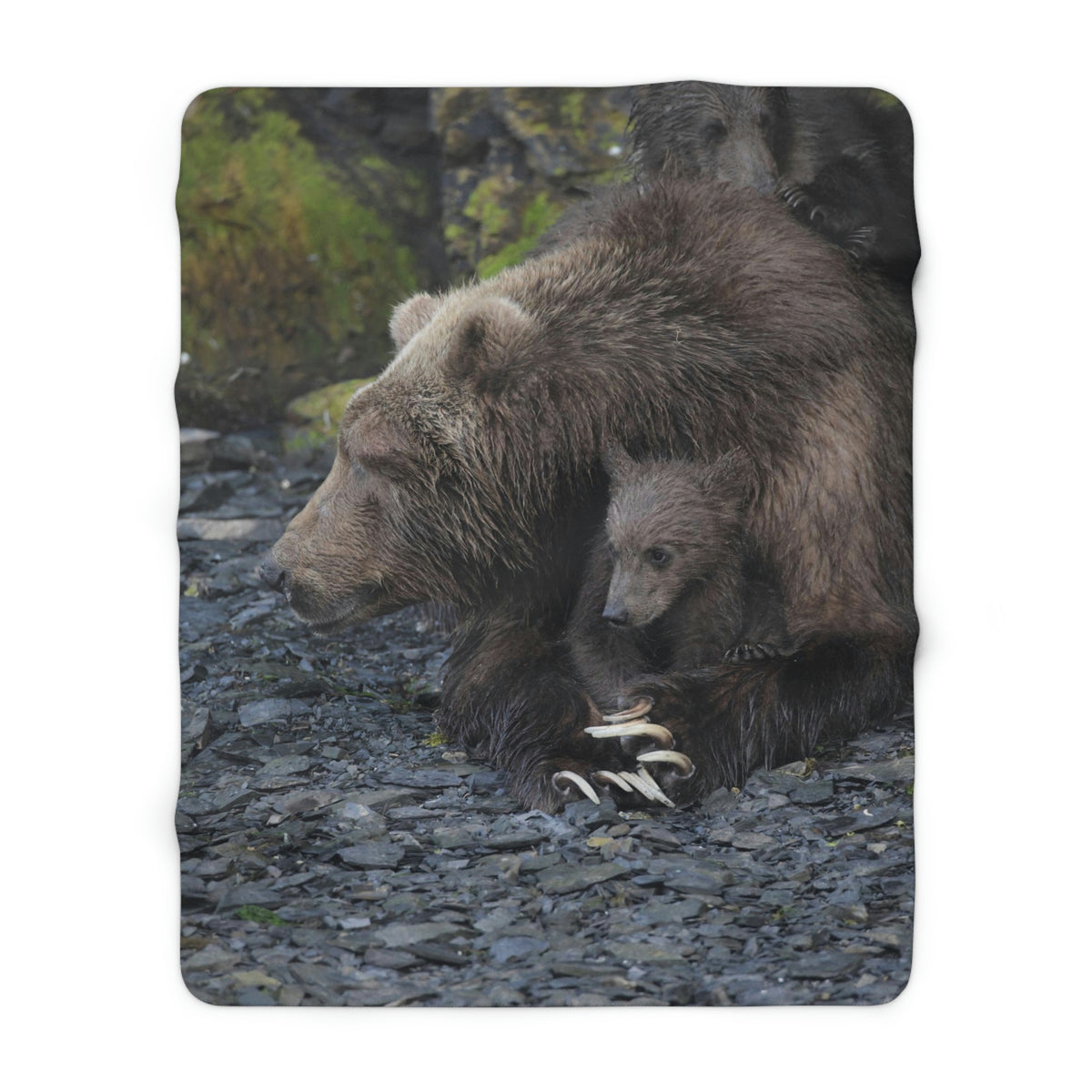 Embracing Sow Sherpa Fleece Blanket