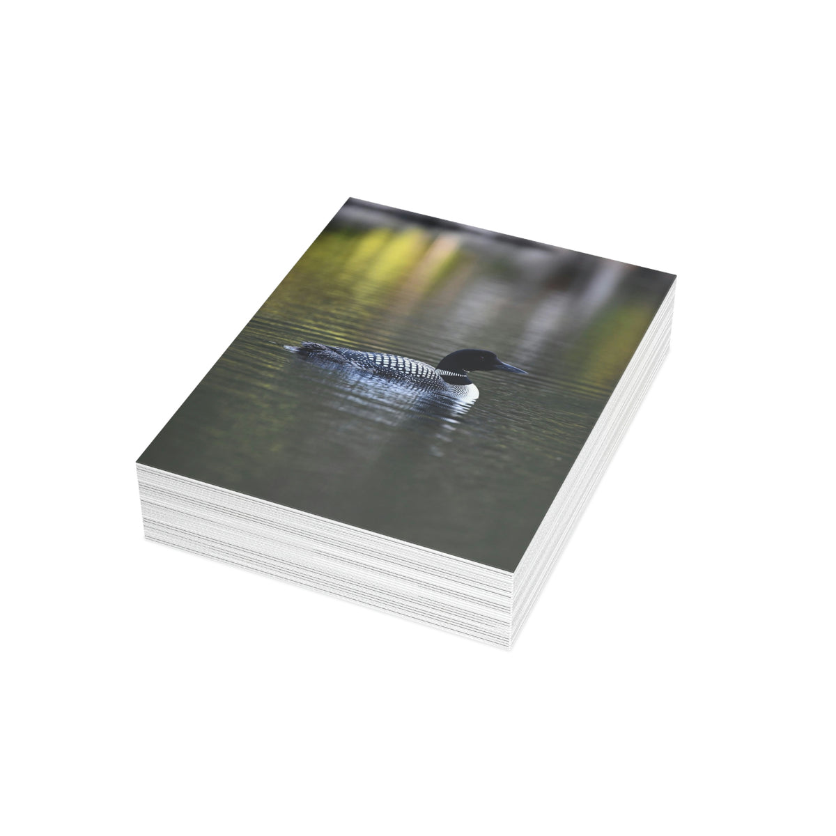 Common Loon Greeting Cards (1, 10, 30, and 50pcs)