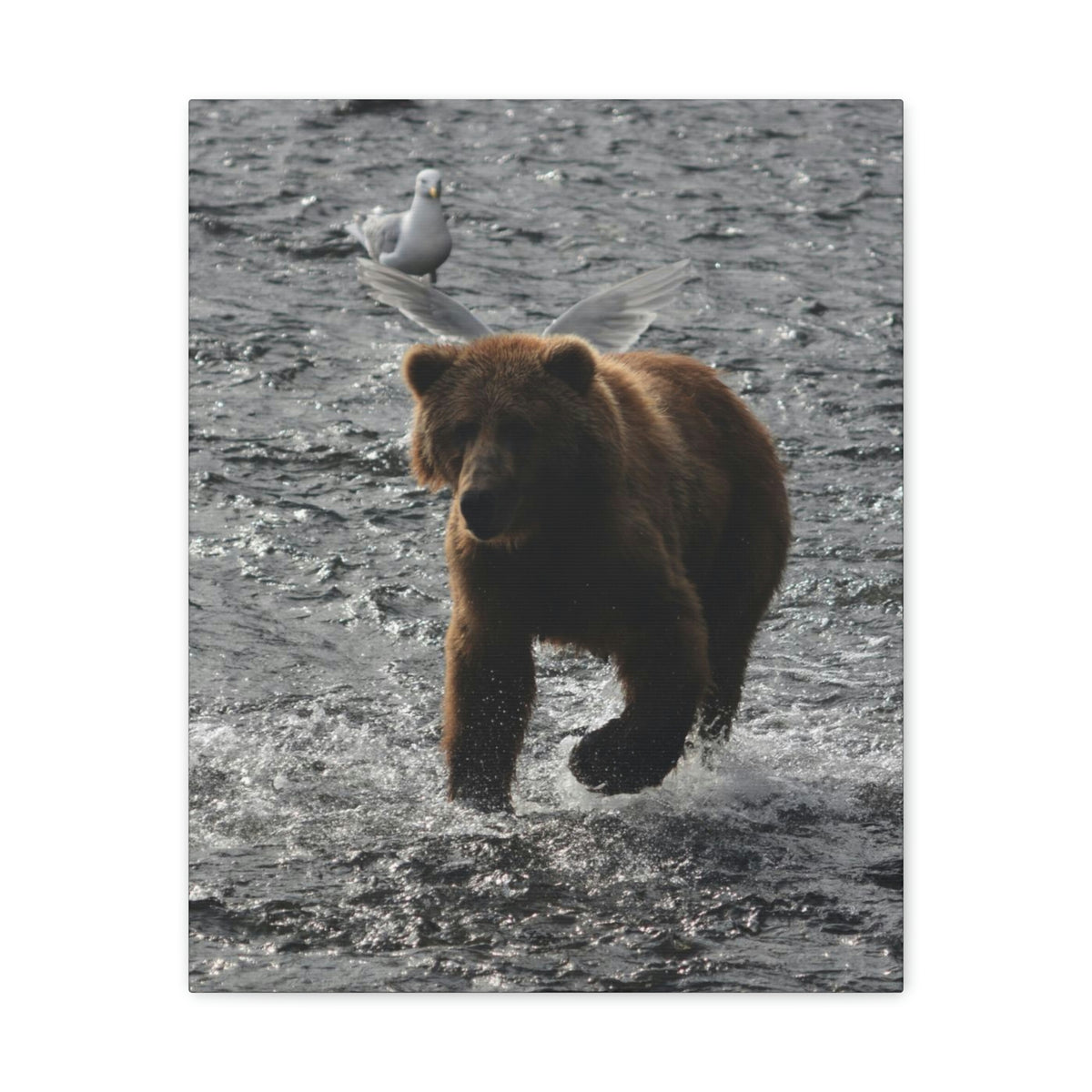 Angel Bear Classic Canvas