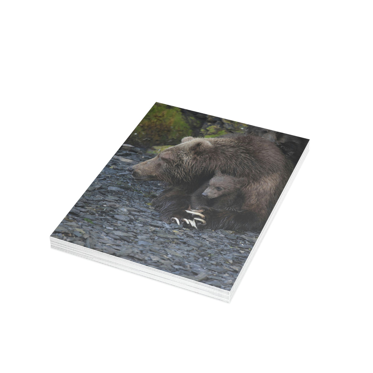 Embracing Sow Greeting Cards (1, 10, 30, and 50pcs)