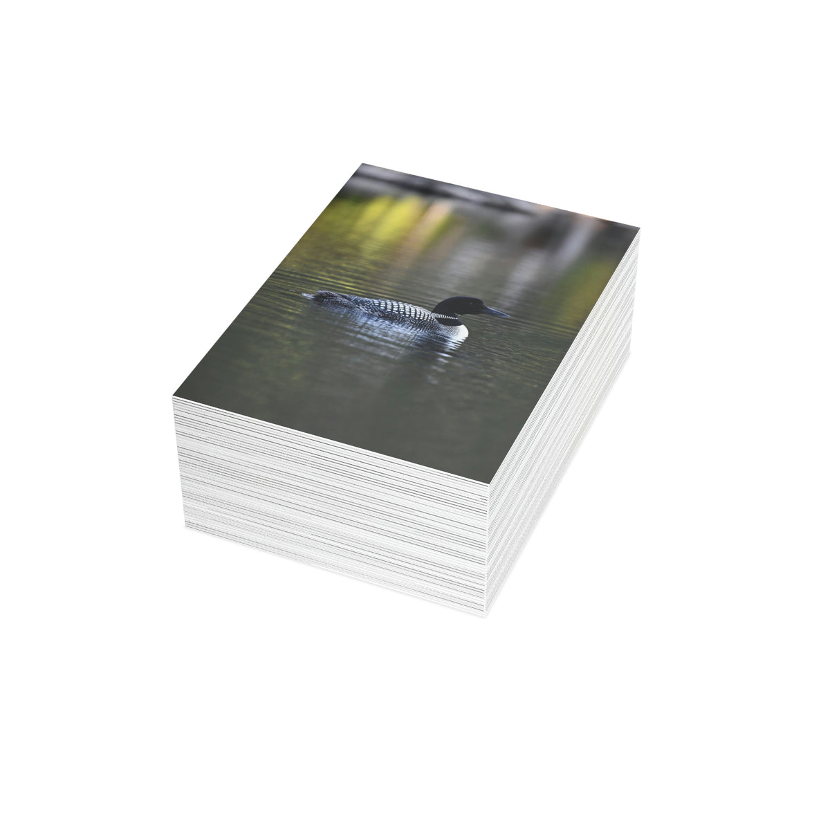 Common Loon Greeting Cards (1, 10, 30, and 50pcs)