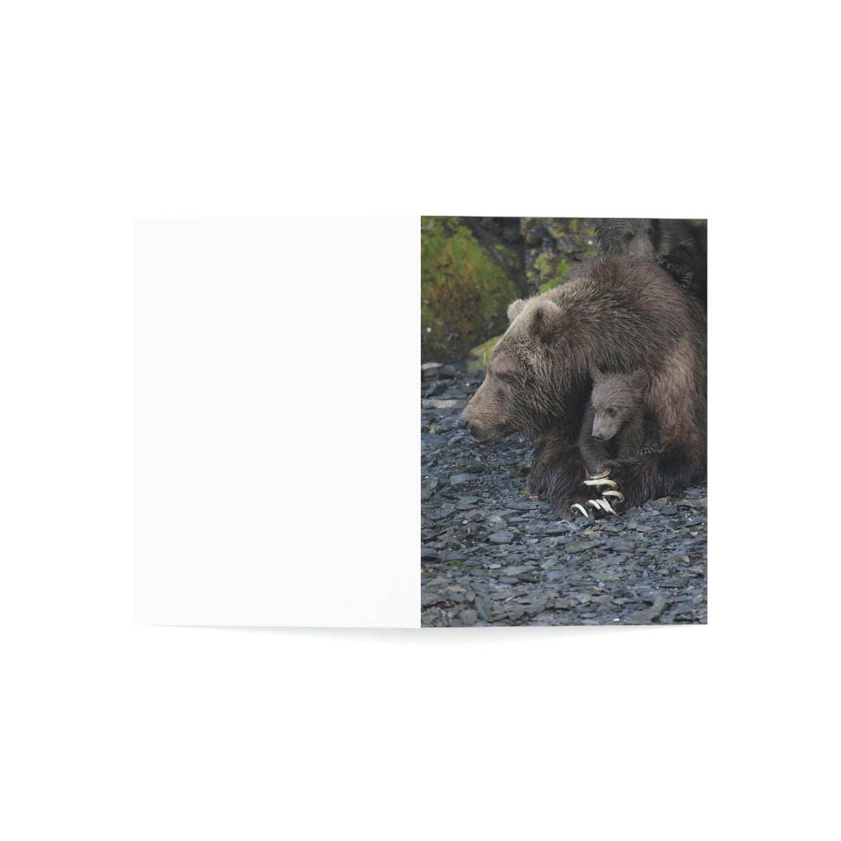 Embracing Sow Greeting Cards (1, 10, 30, and 50pcs)