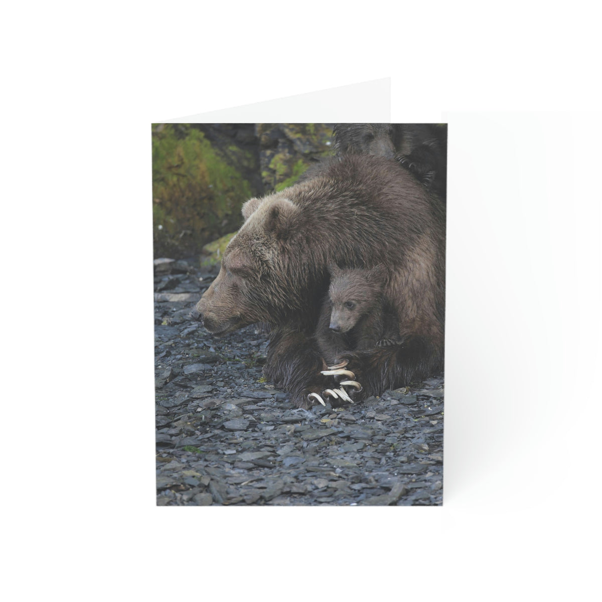 Embracing Sow Greeting Cards (1, 10, 30, and 50pcs)
