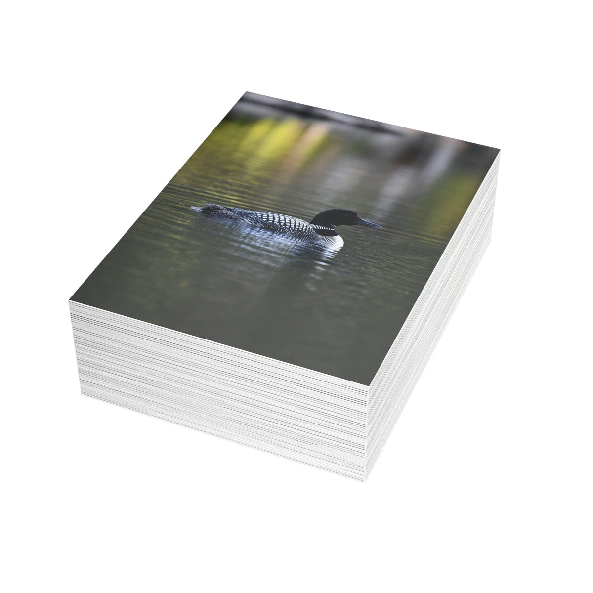Common Loon Greeting Cards (1, 10, 30, and 50pcs)