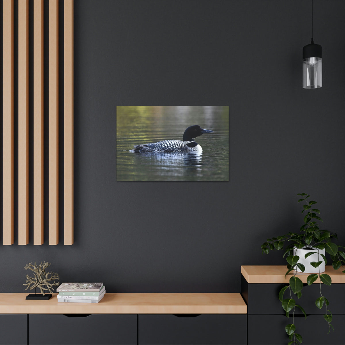 Common Loon Canvas Gallery Wraps