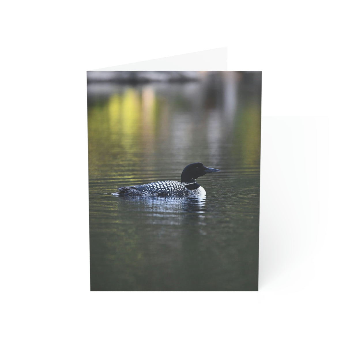 Common Loon Greeting Cards (1, 10, 30, and 50pcs)