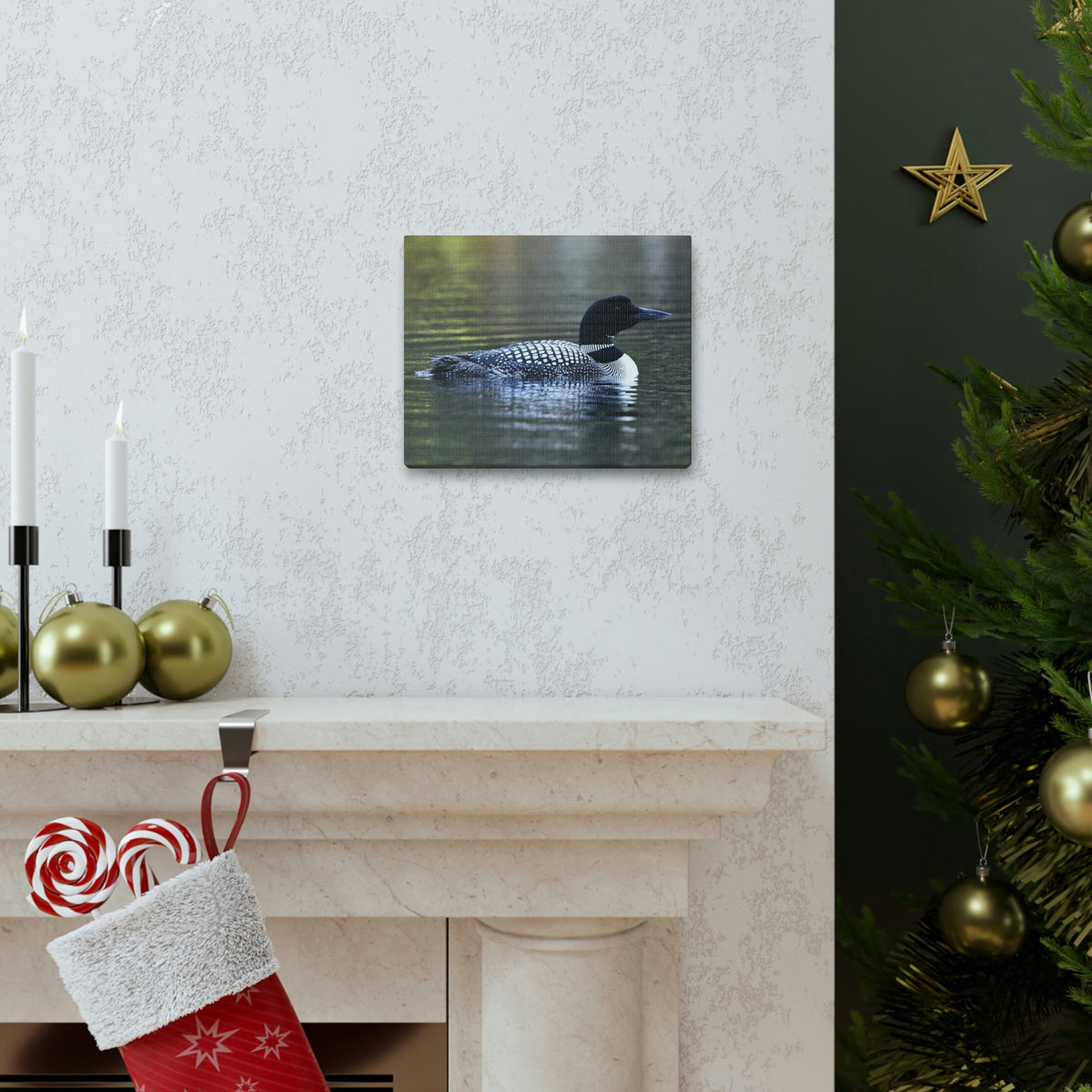 Common Loon Canvas Gallery Wraps