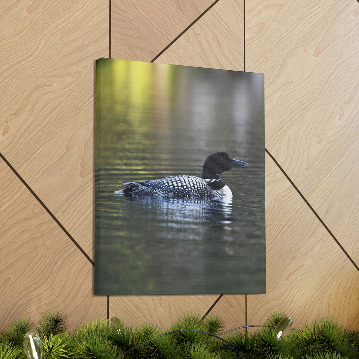 Common Loon Canvas Gallery Wraps