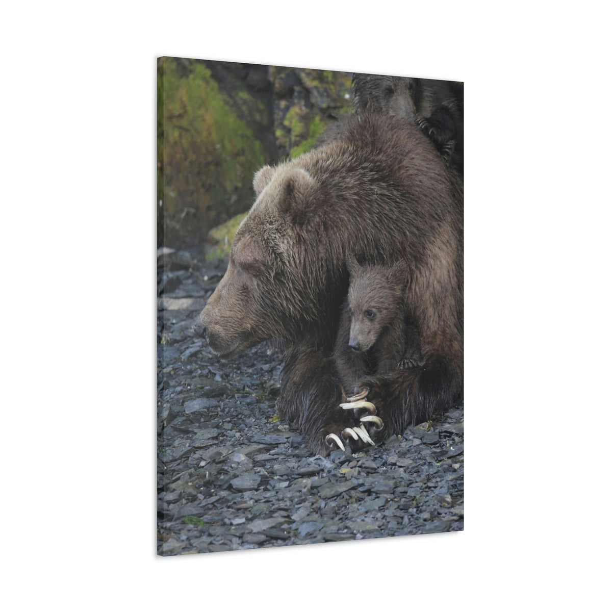 Embracing Sow Classic Canvas